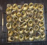 Receta de cargols a la llauna al forn